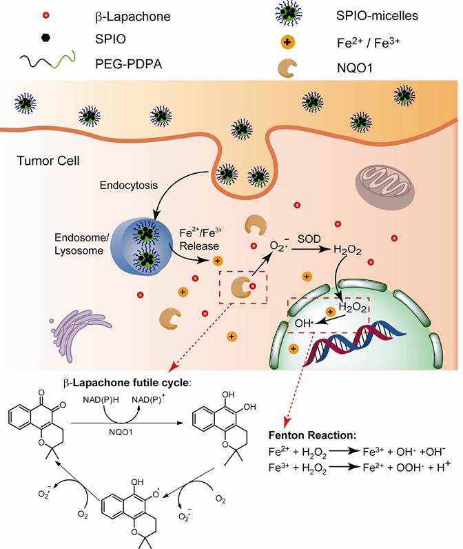 Theranostics Image