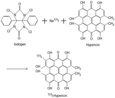 Theranostics Image