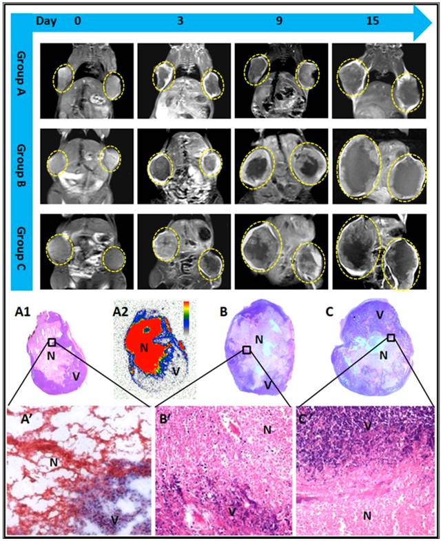 Theranostics Image