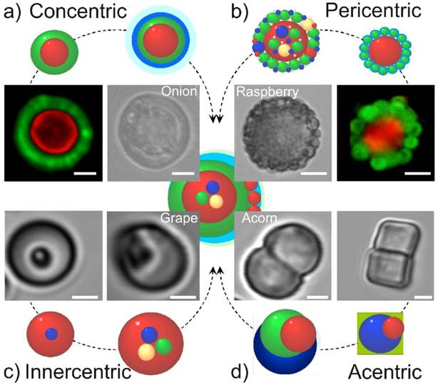 Theranostics Image