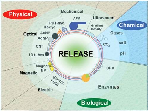 Theranostics Image