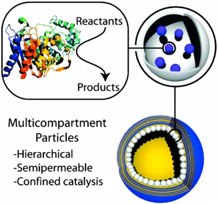 Theranostics Image