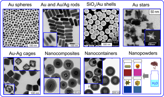 Theranostics Image