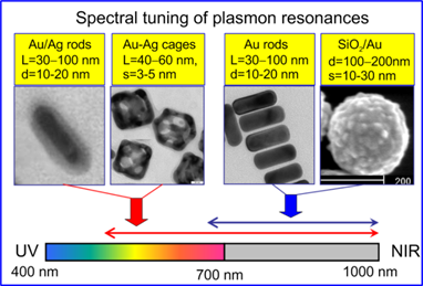 Theranostics Image