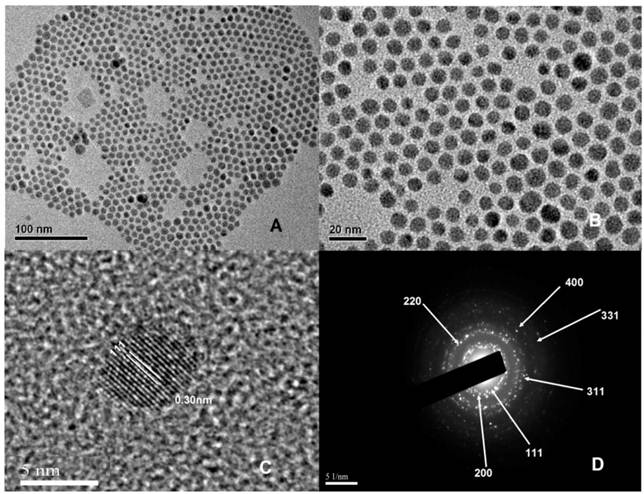 Theranostics Image