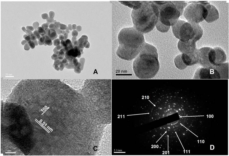 Theranostics Image