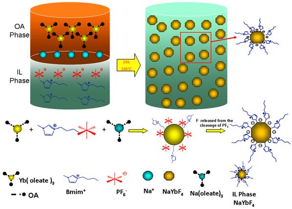 Theranostics Image