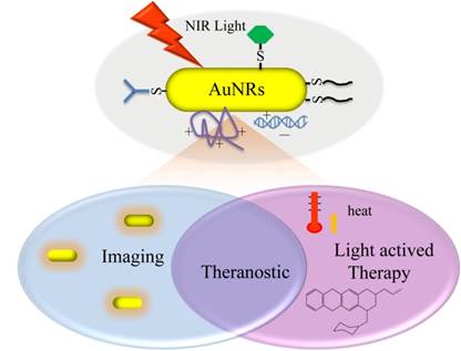 Theranostics Image