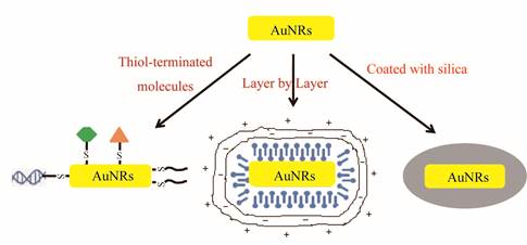 Theranostics Image