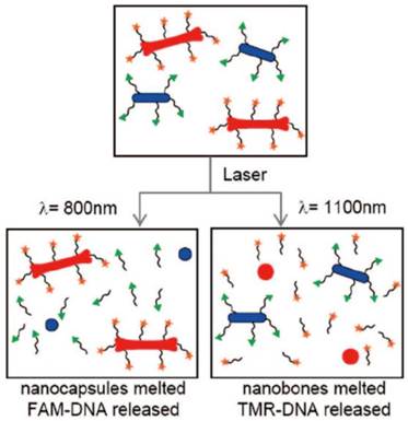 Theranostics Image