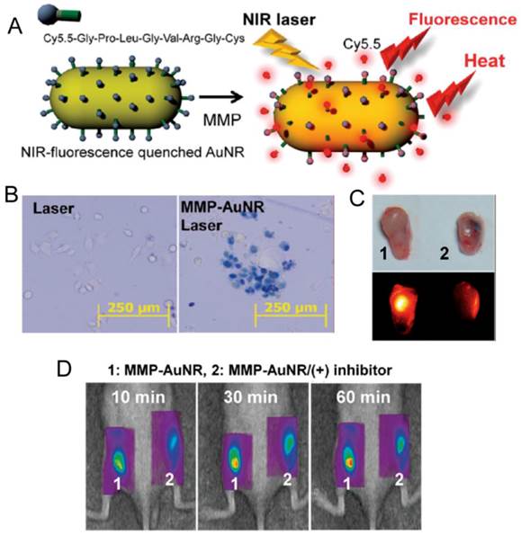 Theranostics Image