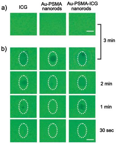 Theranostics Image