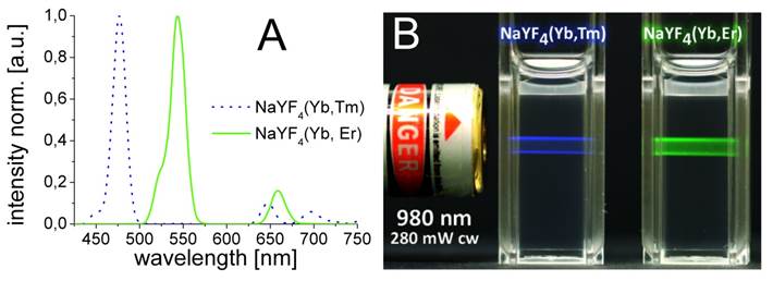 Theranostics Image