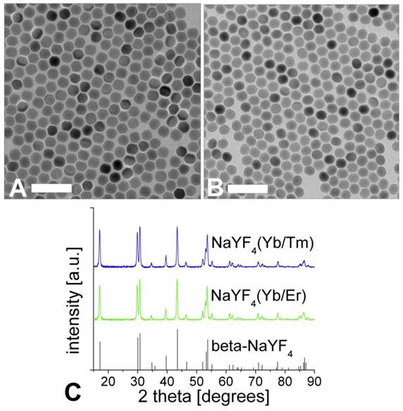 Theranostics Image