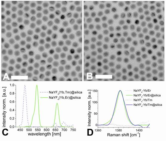 Theranostics Image