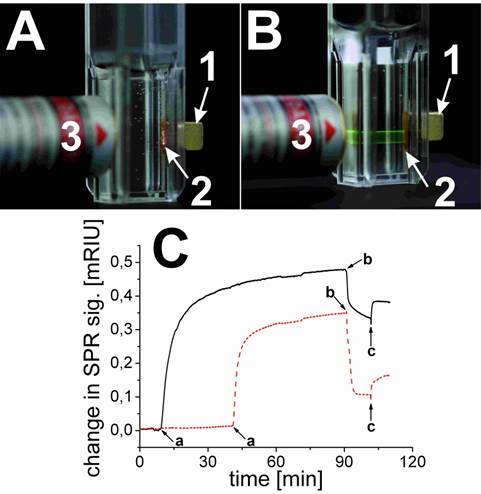 Theranostics Image