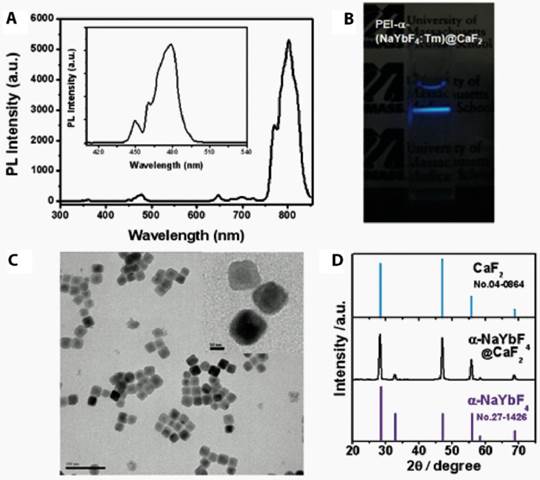 Theranostics Image