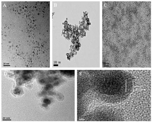 Theranostics Image