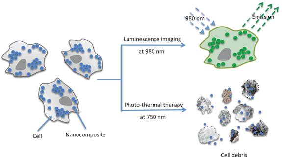 Theranostics Image