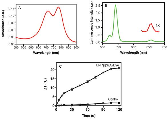 Theranostics Image