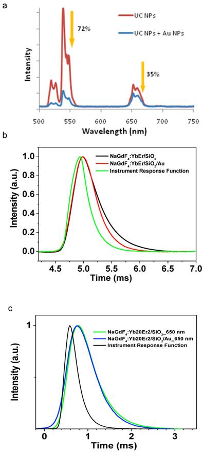 Theranostics Image