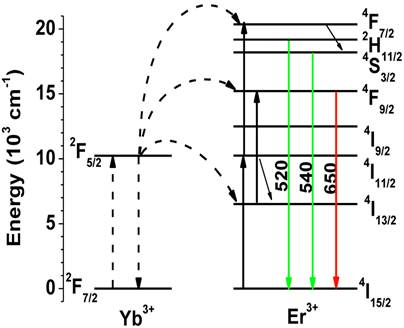 Theranostics Image