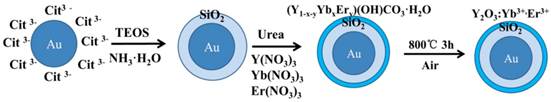 Theranostics Image