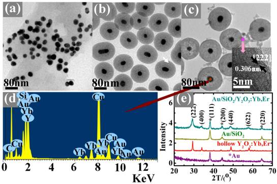 Theranostics Image