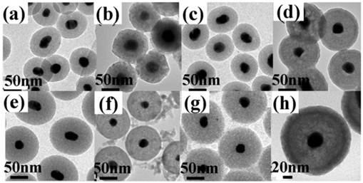 Theranostics Image