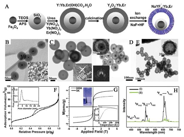 Theranostics Image