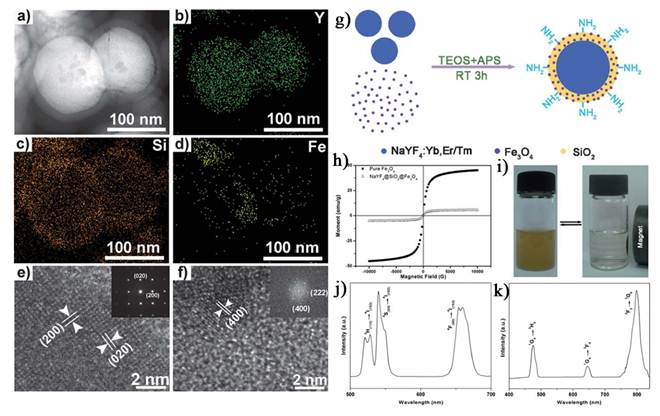 Theranostics Image