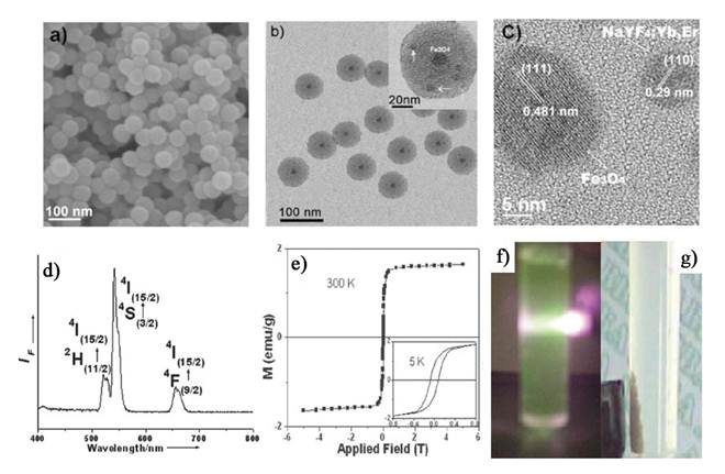 Theranostics Image