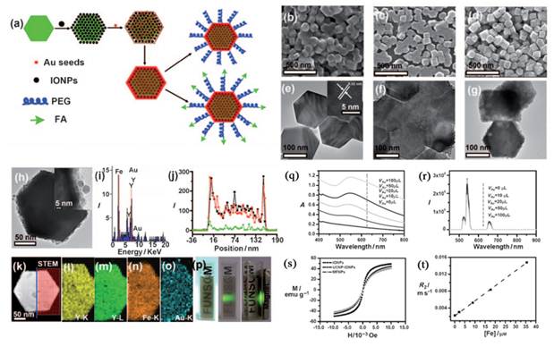 Theranostics Image