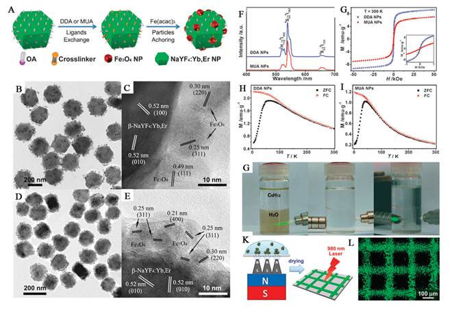 Theranostics Image