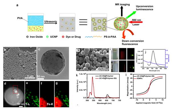 Theranostics Image