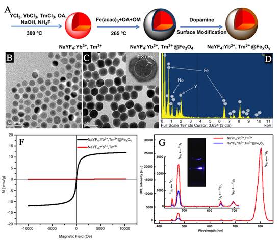 Theranostics Image