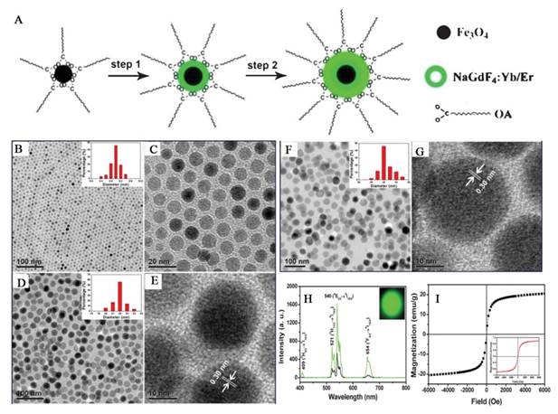 Theranostics Image