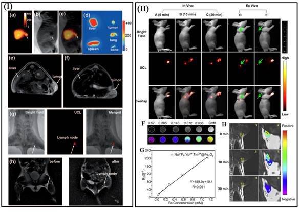 Theranostics Image