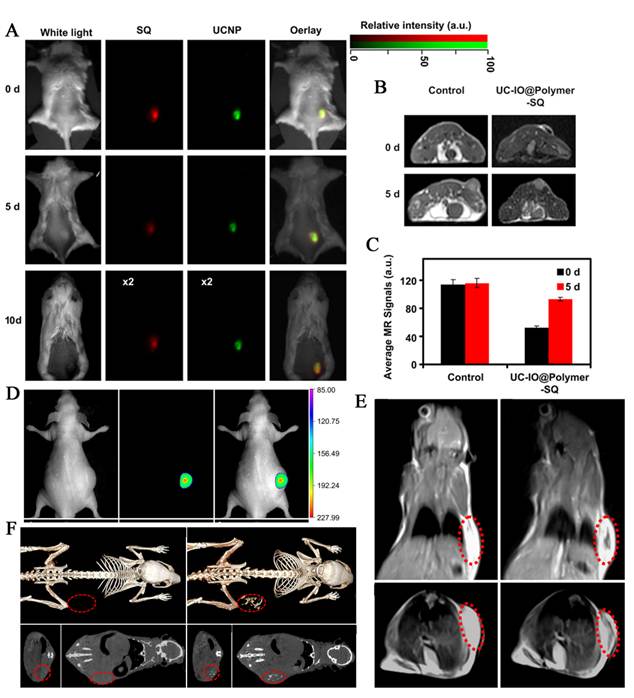 Theranostics Image