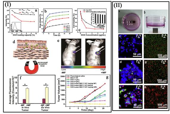 Theranostics Image