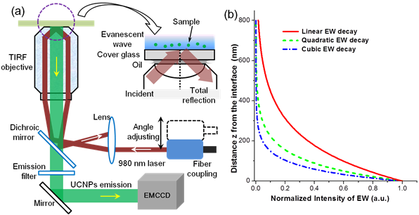 Theranostics Image