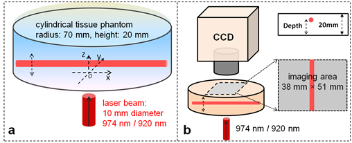 Theranostics Image