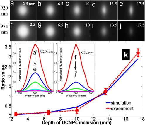 Theranostics Image