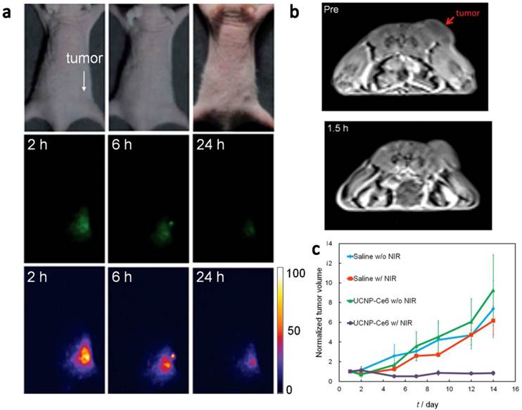 Theranostics Image