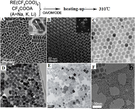 Theranostics Image