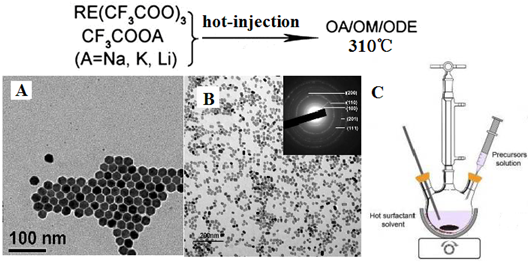 Theranostics Image