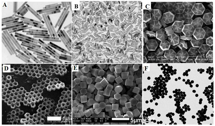 Theranostics Image