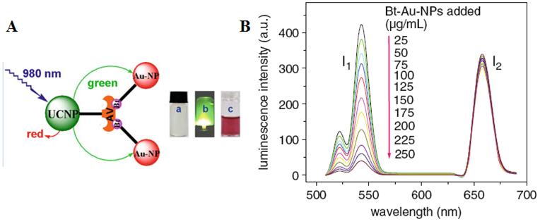 Theranostics Image