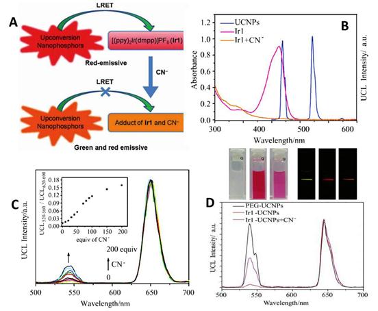 Theranostics Image