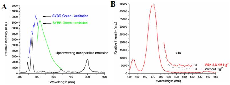 Theranostics Image